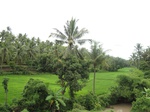 15526IMG_4596.JPG