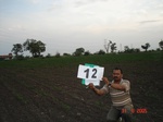 12478012b-irrigated-canal-cotton-farmfallow-chilli-rice.gif