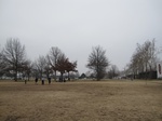 9785IMG_0062.JPG