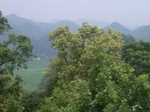 2012-09-08_20-00-36_RIMG0078.JPG