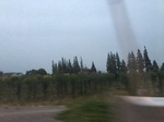 2017-09-12_14-17-28_2854606C-6EEC-4CE4-81B6-3F60857A0557.jpg
