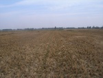 4587RIMG0032.JPG