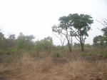 3974RIMG0278.JPG