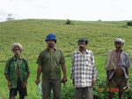 129350261c-rainfed-agriculture-blackgram-dominant-maize.gif