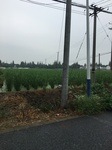 2017-09-10_08-39-49_6CAE4A74-EBEA-4317-9EC5-96BCF97999A5.jpg