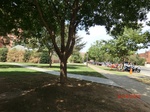 2012-10-02_19-37-28_CIMG0055.JPG