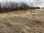 2020-10-30_10-44-36_Lake Arcadia Feb 15_2020_Grass_South.jpg