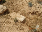 2017-02-01_03-48-32_DSCN3206.JPG