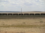 38421CIMG0263.JPG