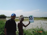 6283053a-irrigated-supplemental-rice-dominant-singlecrop.jpg