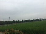 2017-09-10_07-08-38_3AAC82DF-929F-4ABC-B72D-6CD2CC1F27EE.jpg