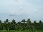 1695510052008(26).JPG