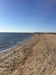 2017-02-19_16-36-58_85EF6EF9-5A81-48F0-921E-76D36B5C370C.jpg