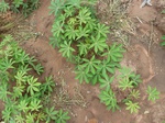 20941P1020808.JPG