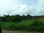 18193P1000028.JPG