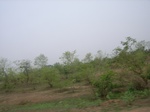 3890RIMG0194.JPG