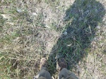 2017-09-25_15-12-59_20170904_location 2 ground cover.jpg