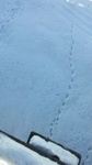 2017-02-17_14-04-56_0216171351a.jpg