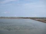 15604IMG_4675.JPG