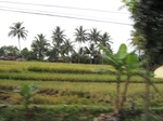 16440IMG_5225.JPG