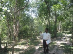 7749gt014b-forests-Y-sec.jpg