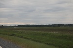 2022-05-26_12-49-35_2AC4B336-9A9E-4B71-8C7B-BF19DF6B43A8.jpeg