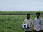 68700136b-irrigated-supplemental-major-lift-irrigation.jpg