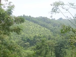 2012-09-08_20-00-38_RIMG0059.JPG