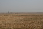 8395IMG_0521.JPG