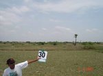 6181030b-irrigated-supplemental-tank-rice-single-crop.jpg