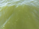 2012-09-21_14-26-02_CIMG0026.JPG