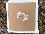 2020-10-30_10-44-37_Lake Arcadia Feb 15-2020 Trap 14.png