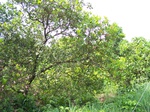 545611052008(21).JPG