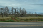 2021-02-02_11-35-20_DSC_0033.JPG