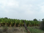 486402052008(59).JPG