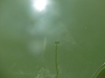 58390CIMG2839.JPG