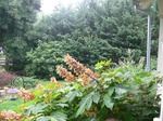 2017-07-07_14-11-26_East.JPG