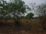3964RIMG0268.JPG