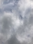 2021-11-24_13-15-11_2021-11-24-13-12-57.jpg