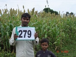 73230279b-rainfed-agriculture-mixedcrop-cotton-dominant-sorghum-soyabean.jpg