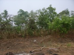 3989RIMG0293.JPG
