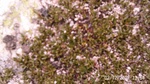 2012-09-27_14-25-42_284.JPG