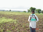 69410157b-rainfed-agriculture-greengram-millet-doublecrop.jpg