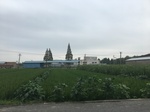 2017-09-12_10-43-46_ED294AF6-6374-4AB0-93F4-AD24994F0359.jpg