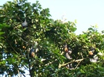 2012-10-17_20-32-18_395.JPG