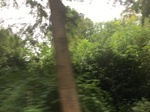 2017-09-10_20-45-13_5BB5C57D-474F-4E9C-A018-3A6DD148CBB4.jpg