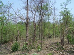 525527042008(17).JPG
