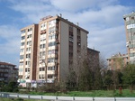 5956DSC05241.JPG