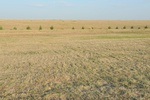 2012-09-02_21-39-47_DSC_1618.JPG