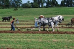 2012-09-28_22-29-20_Howell Farm-3.JPG